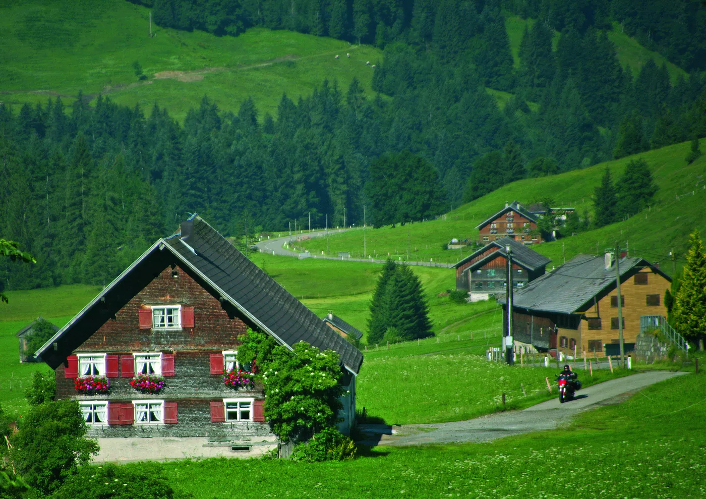 Typische Bregenzerwälder Häuser mit Schindelfassade zwischen Bergwiesen