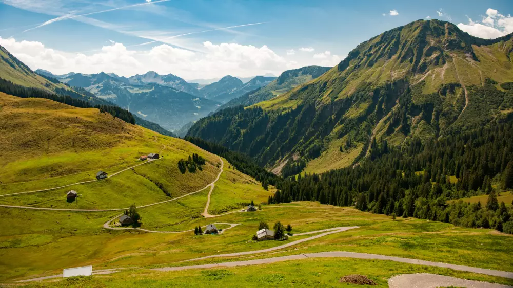 Almwiesen und Bergrücken am Furkajoch